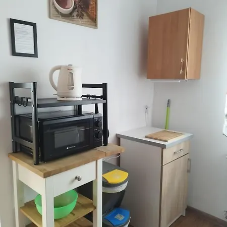 Jaskolka * Lądek-Zdrój