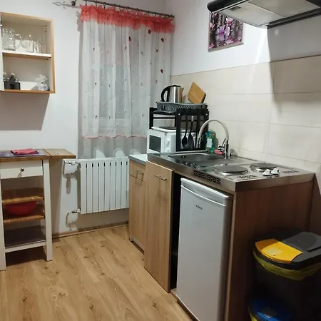 Jaskółka * Lądek-Zdrój