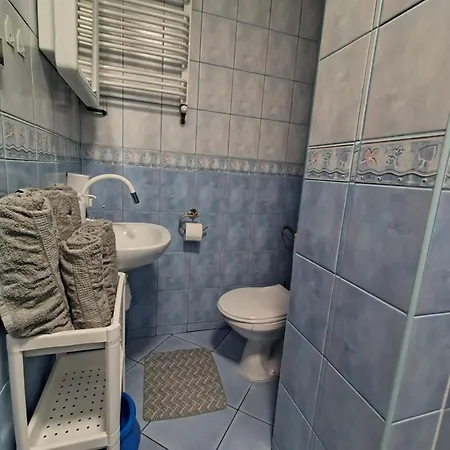 Проживание в семье Jaskolka